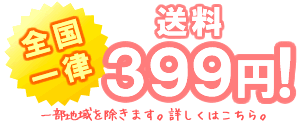 送料全国一律399円